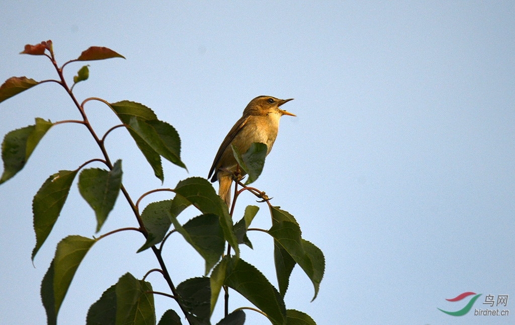 DSC_3474.JPG