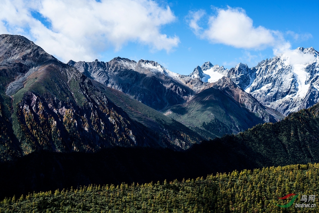 _DSC6158.JPG