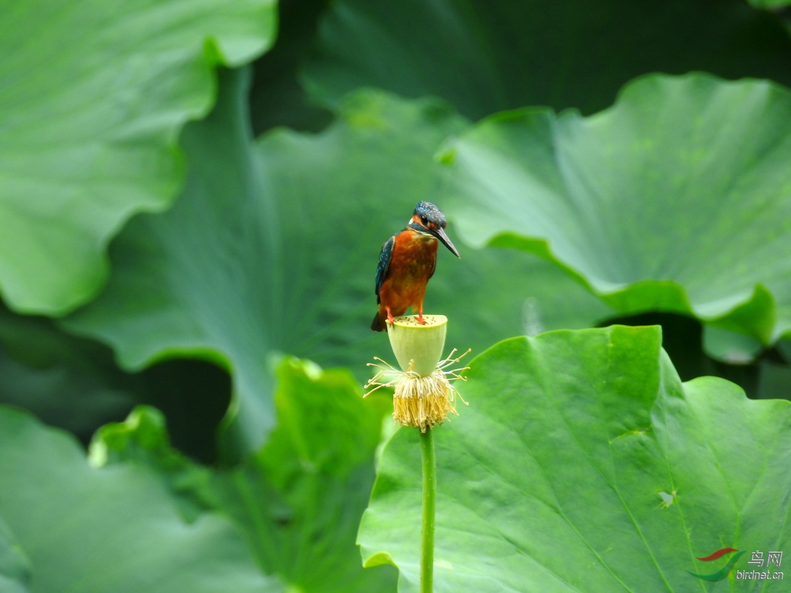 ����Լ30��