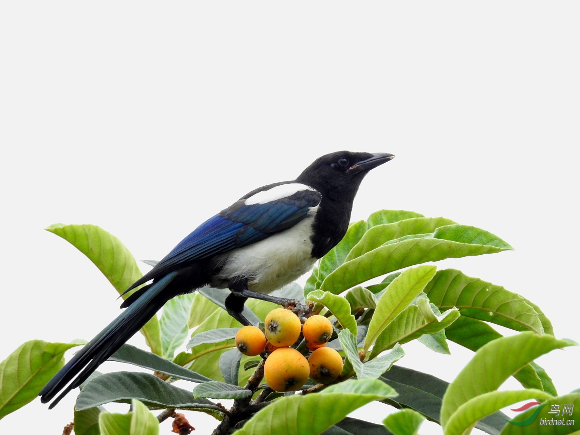 ����Լ10��