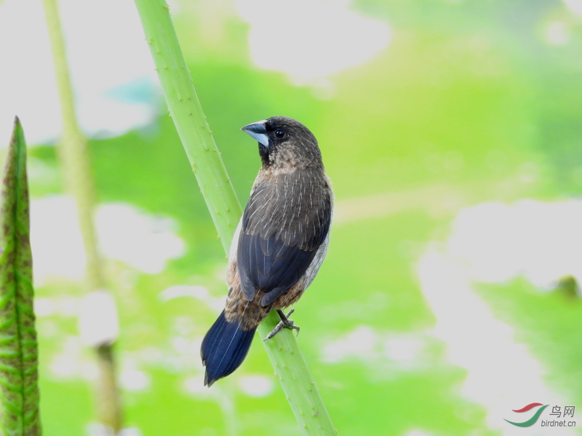 ����Լ\6��