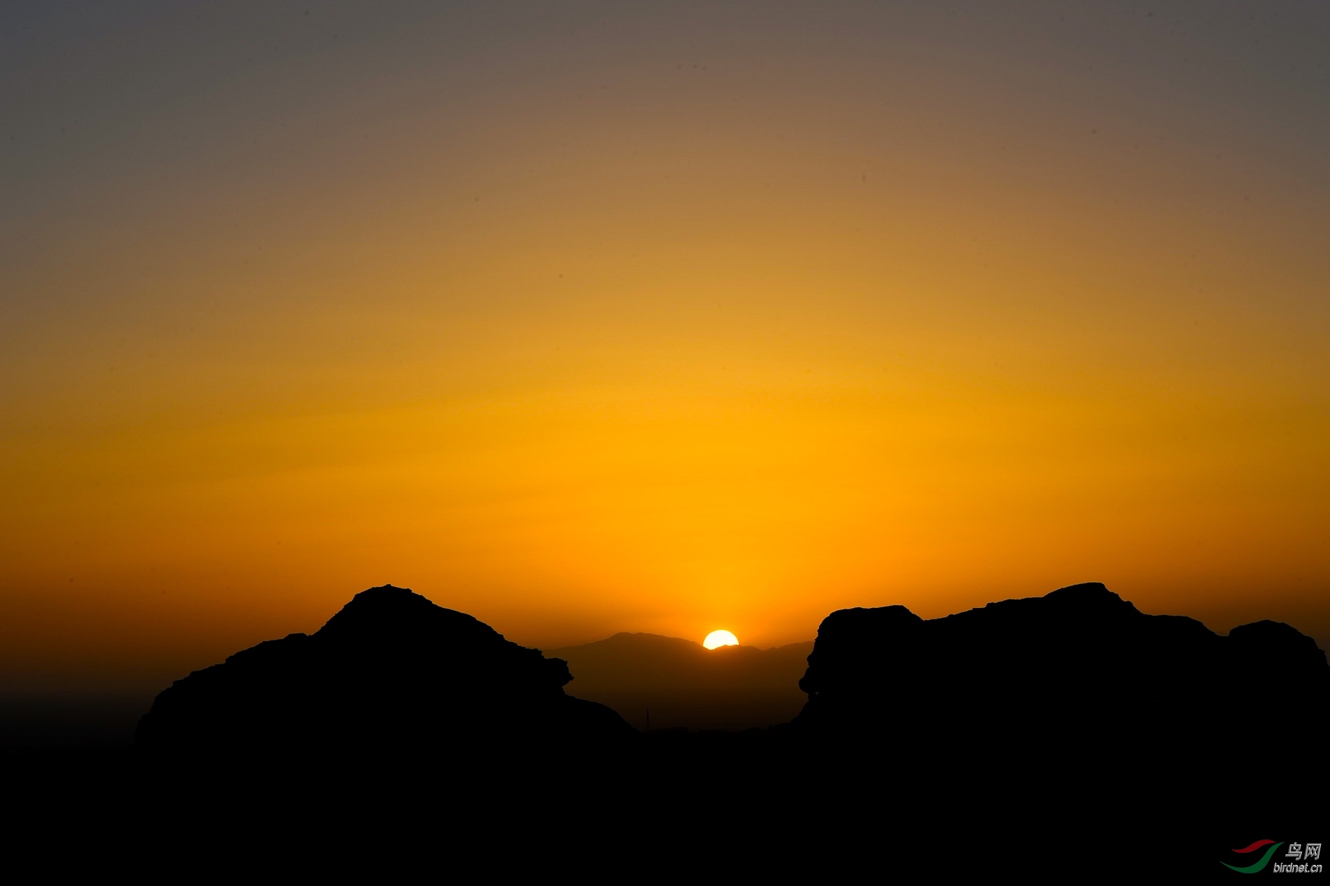 DSC_4007_����1.jpg