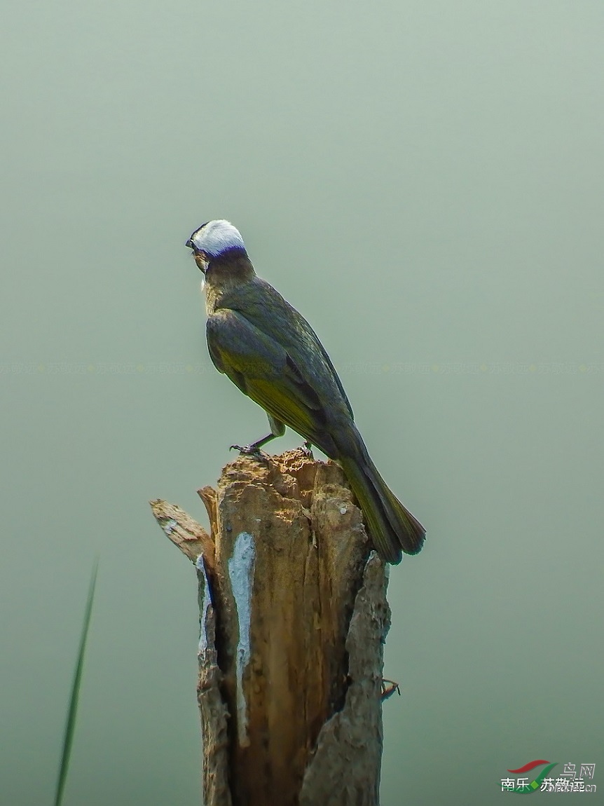 DSCF0851СС_���˺�.jpg