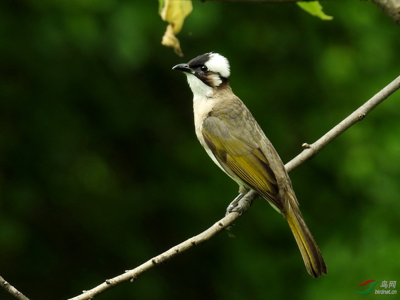 ����25��