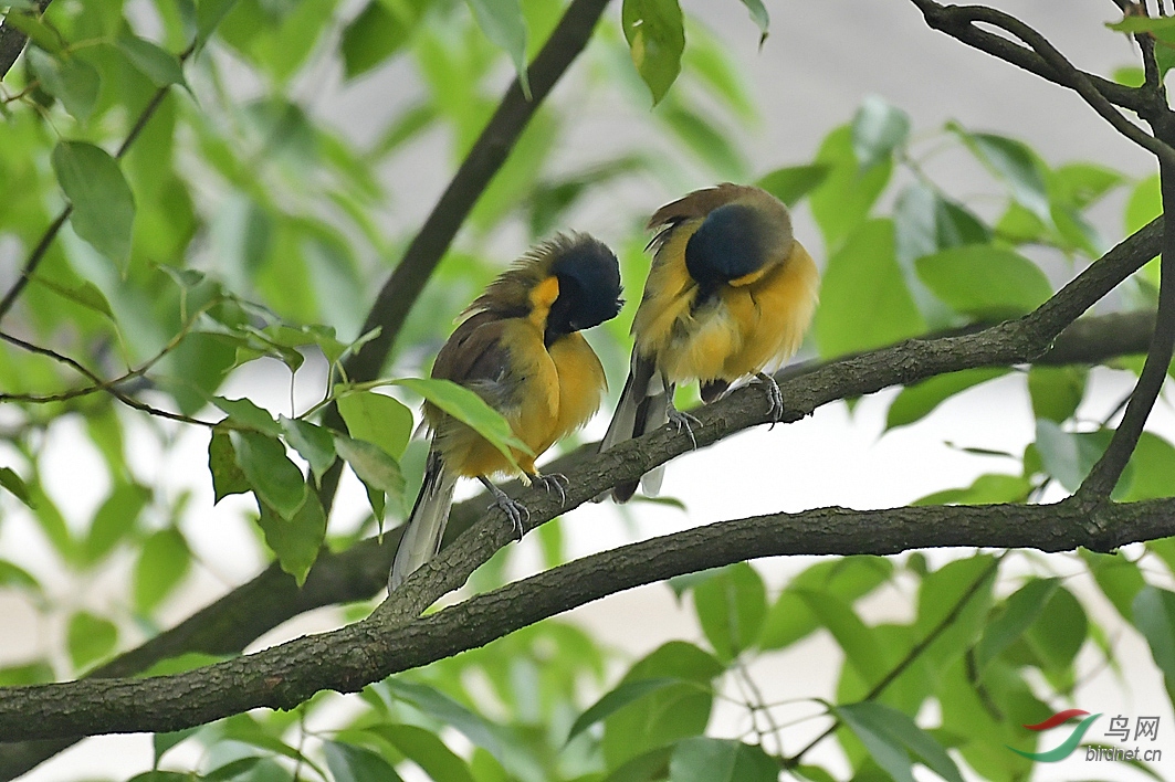 DSC_6770.jpg