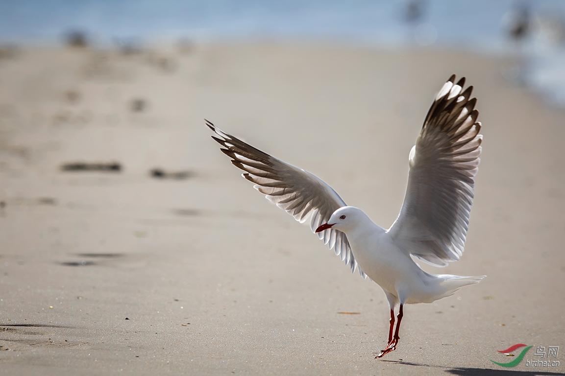 0U2A7487-5.jpg