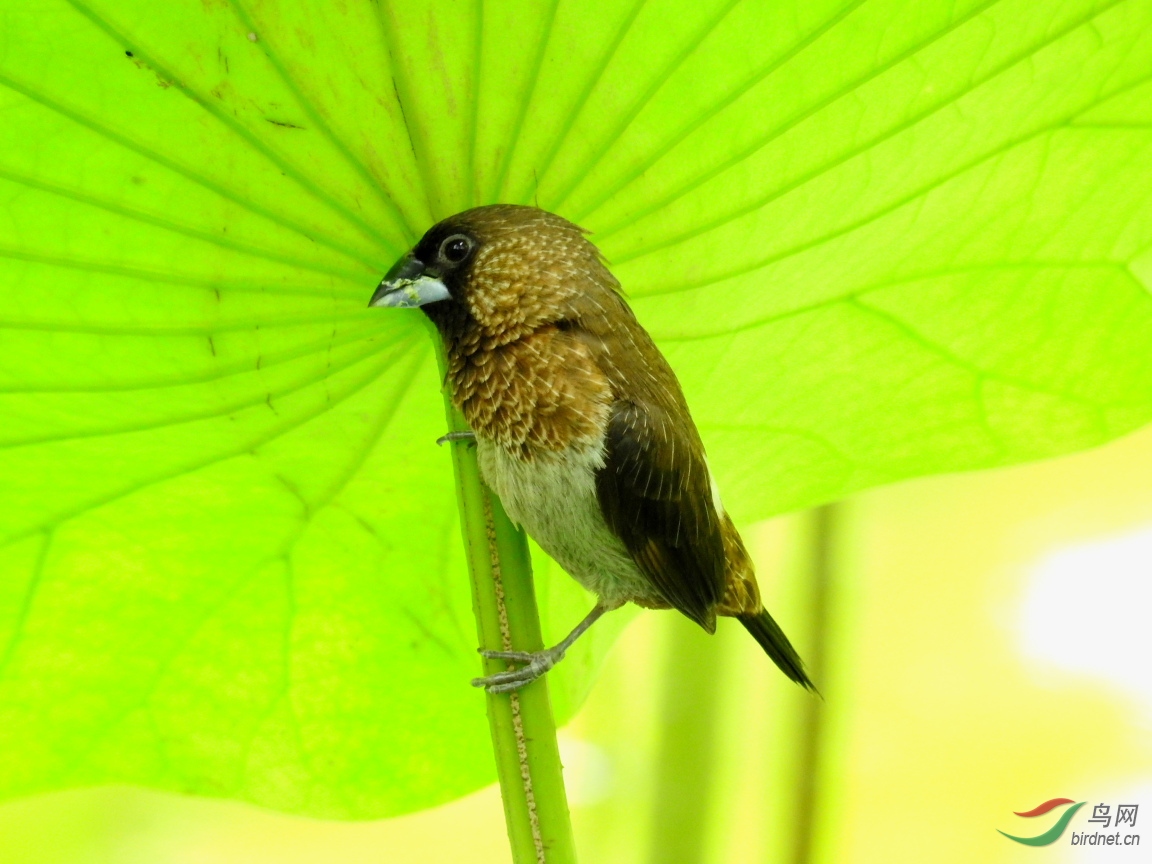 ��������6��