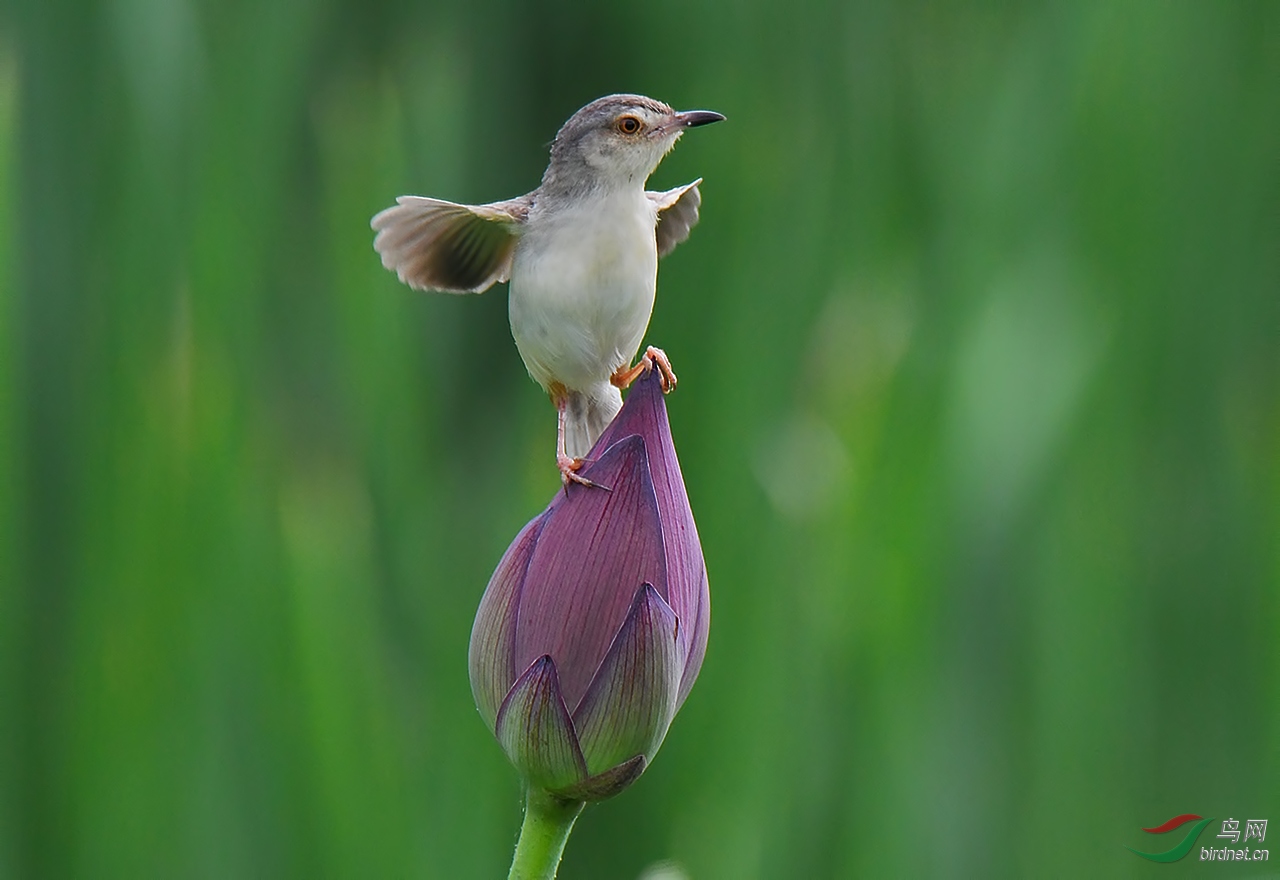 DSC_4984.JPG