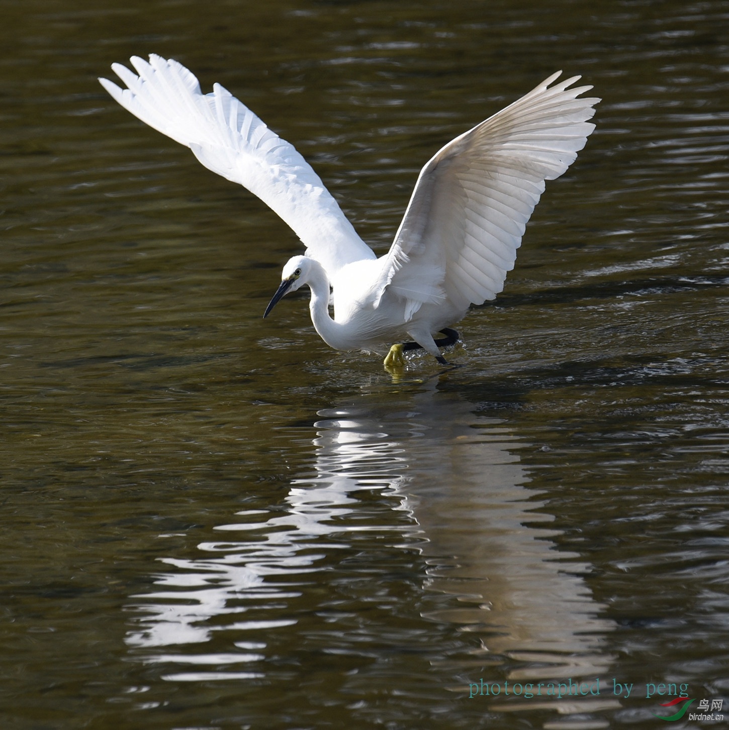 DSC_3578_����.jpg