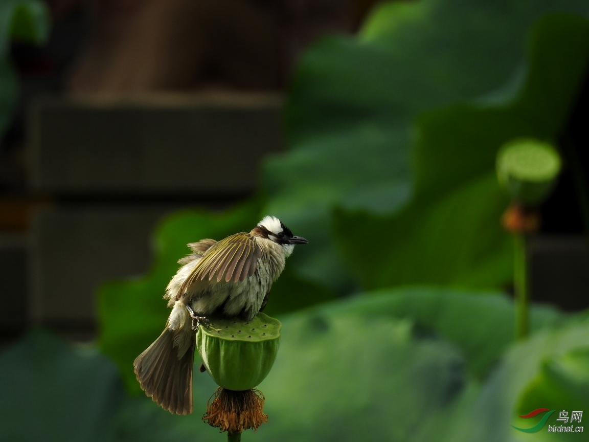 DSCN4691.JPG