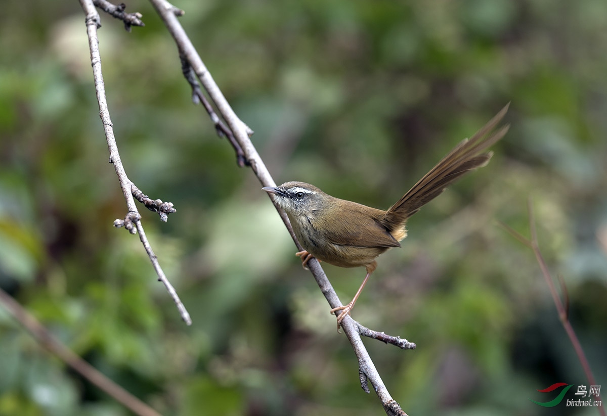 DSC_1202_5.jpg