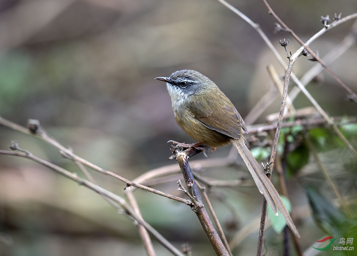 DSC_0698_5.jpg