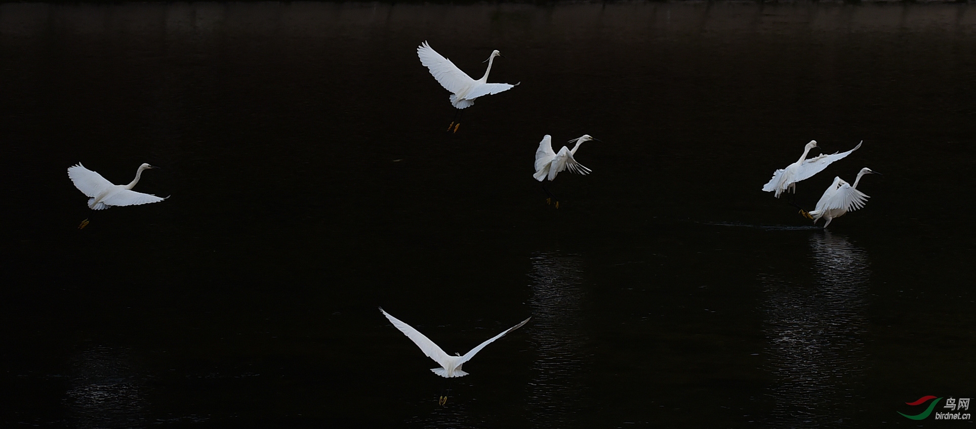 DSC_5077_����.jpg