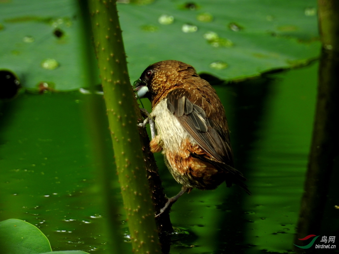DSCN4571.JPG