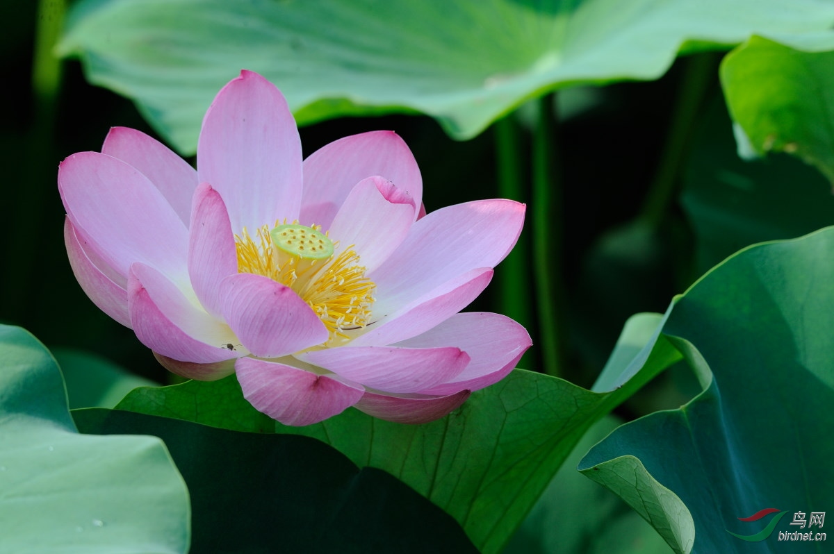 DSC_9622.jpg