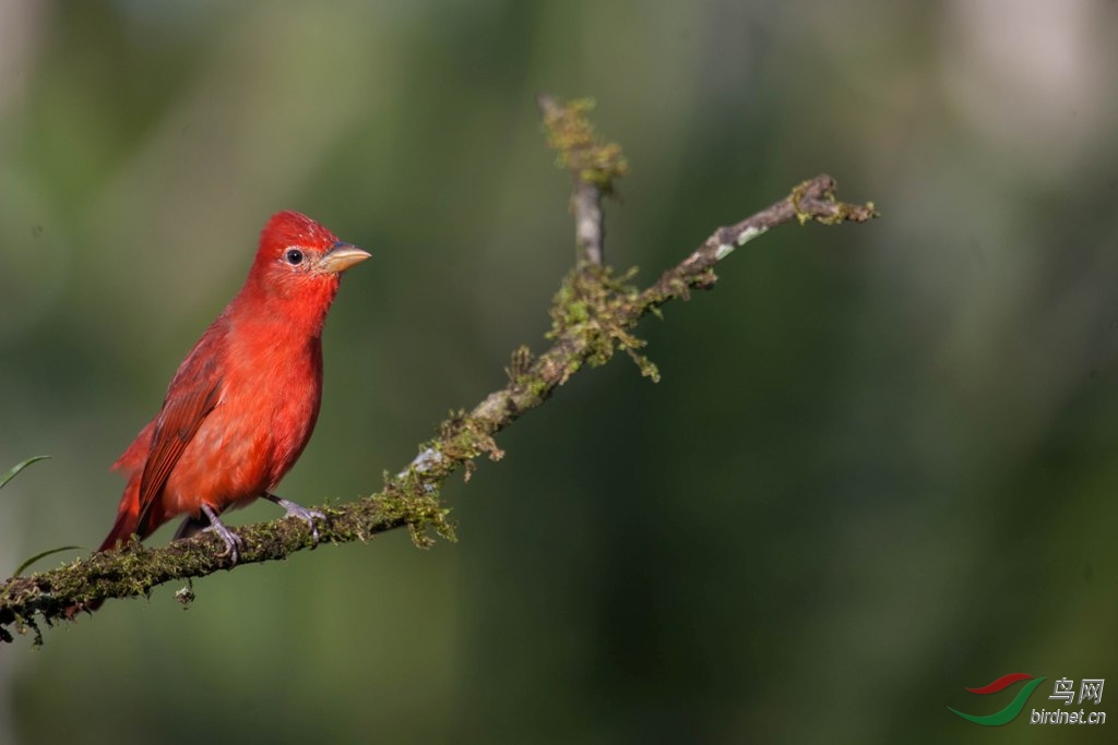 õ��������ȸ