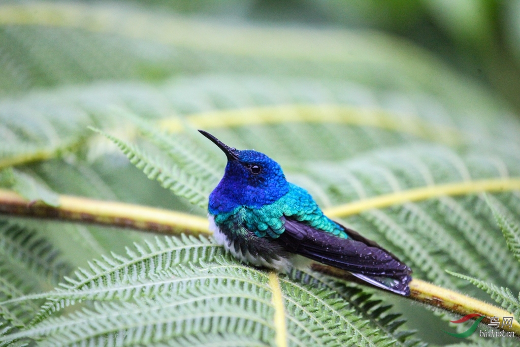 �׾�����