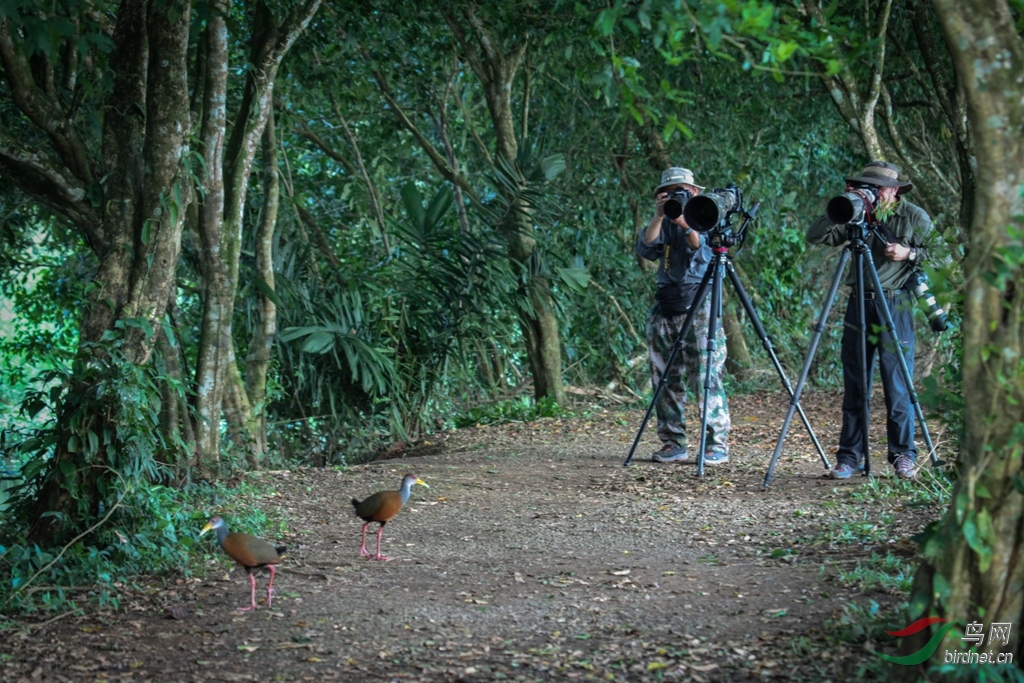 �Ҿ�����������