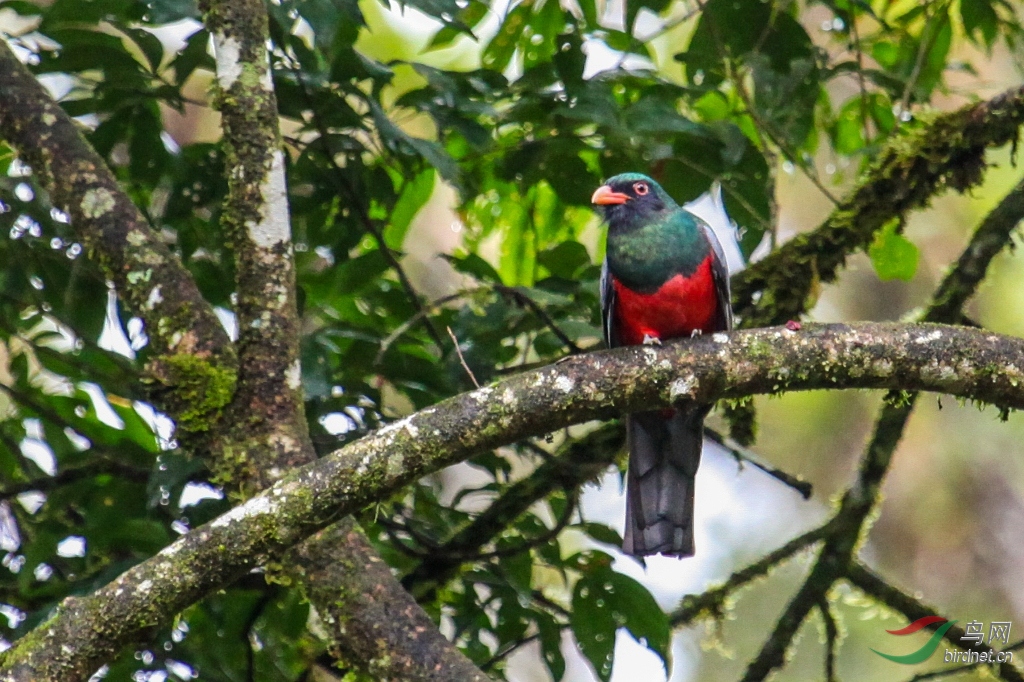 ��β����ҧ��