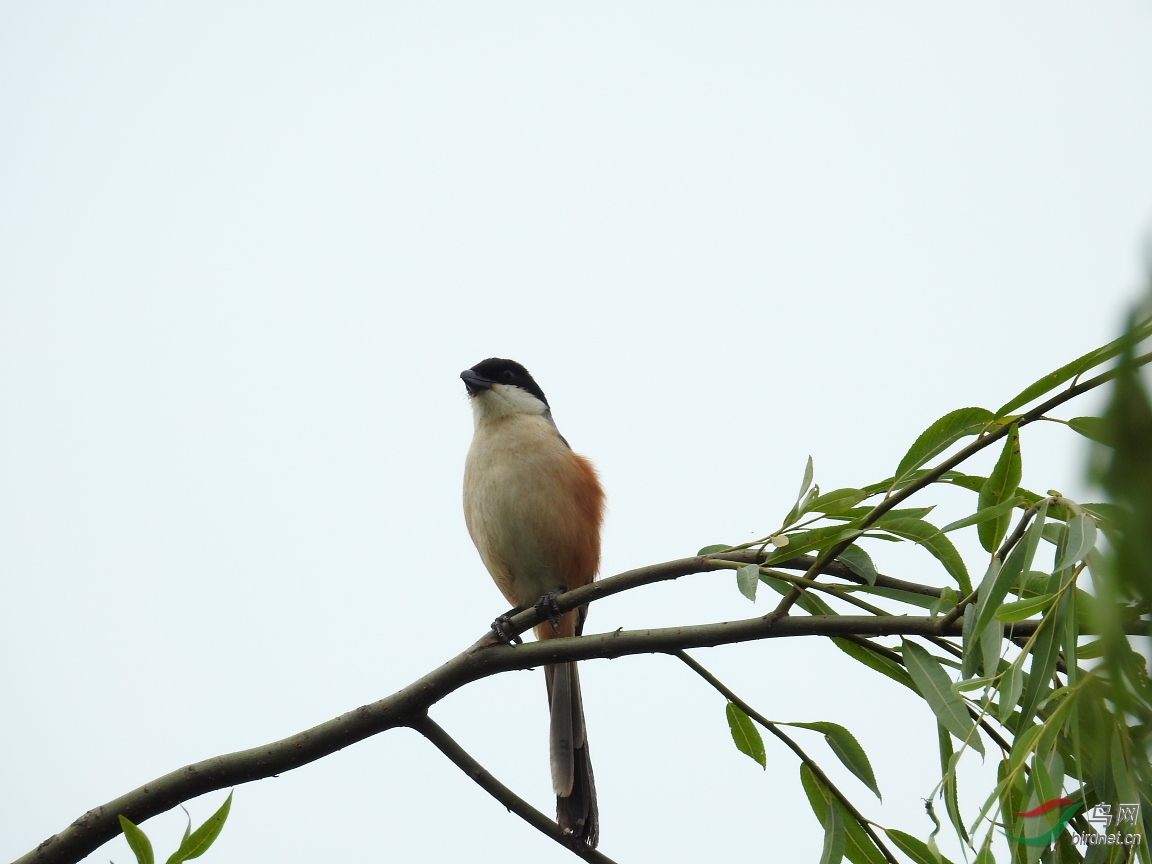 DSCN4852.JPG