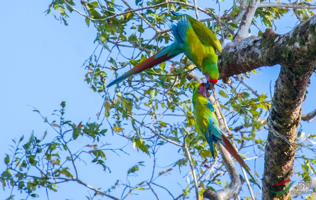 ���̽������