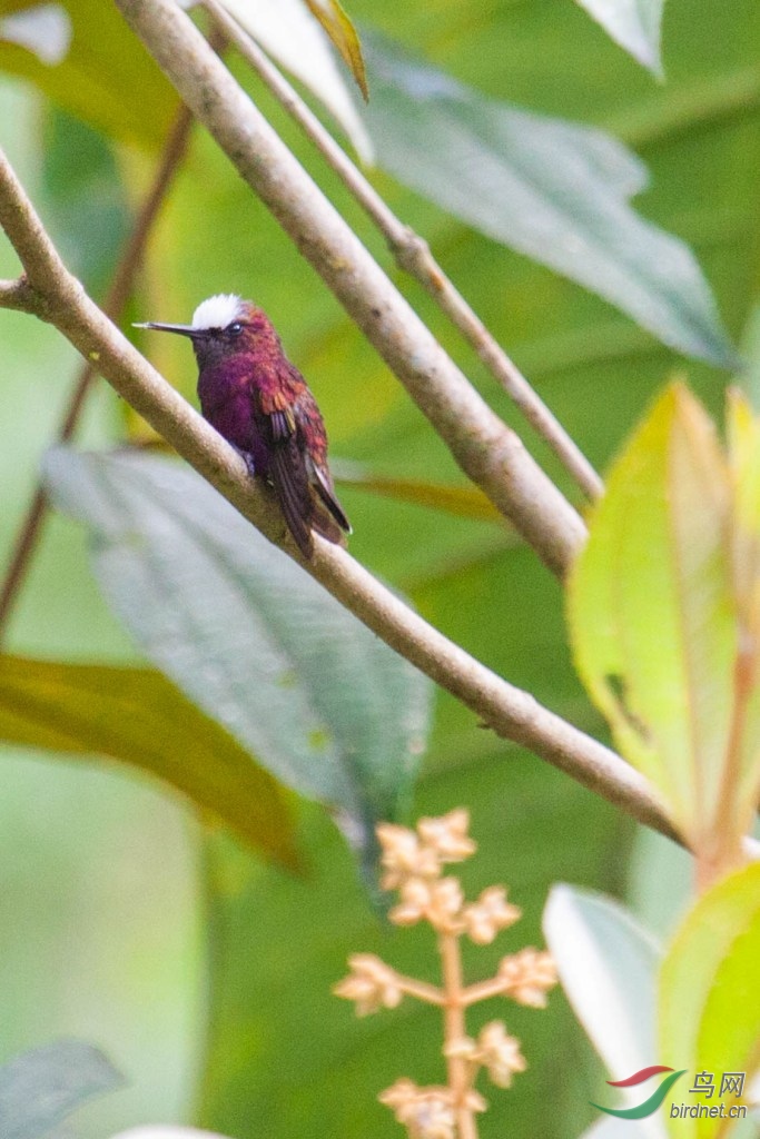 �׶�����