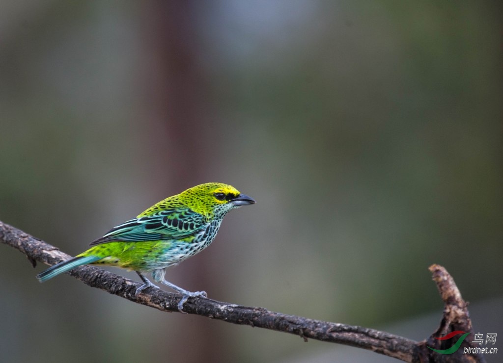 ����Ƽ���ȸ