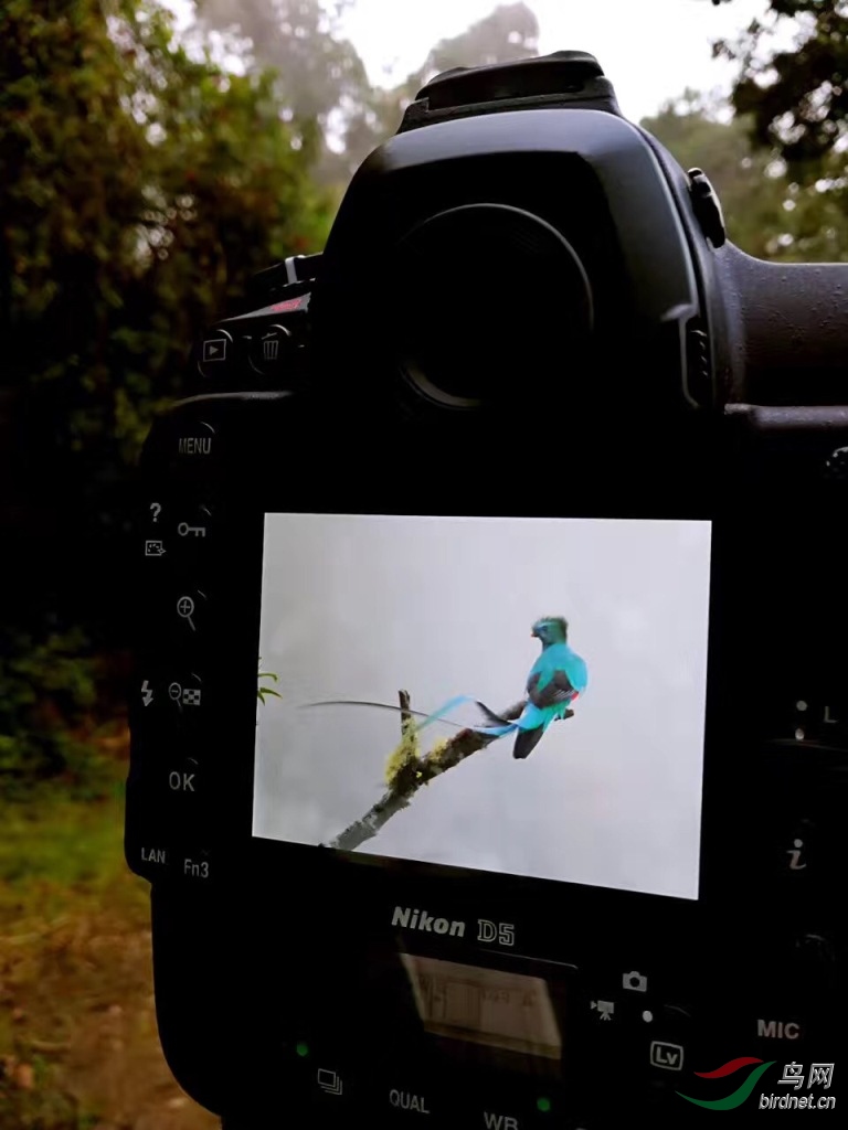 ����һ�ε���Ƭ