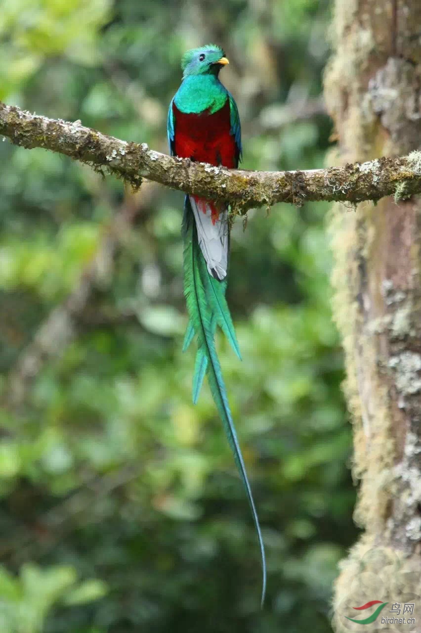 ֮ǰһ���Ŷӵ���Ƭ