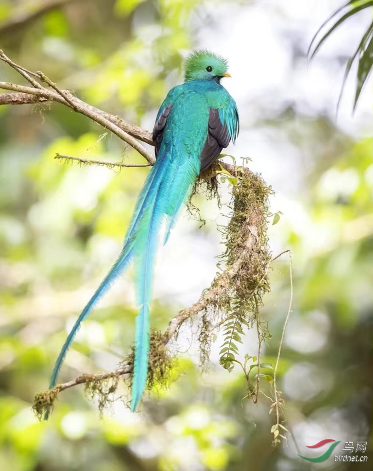 ����Ҧ��ʦͼƬ