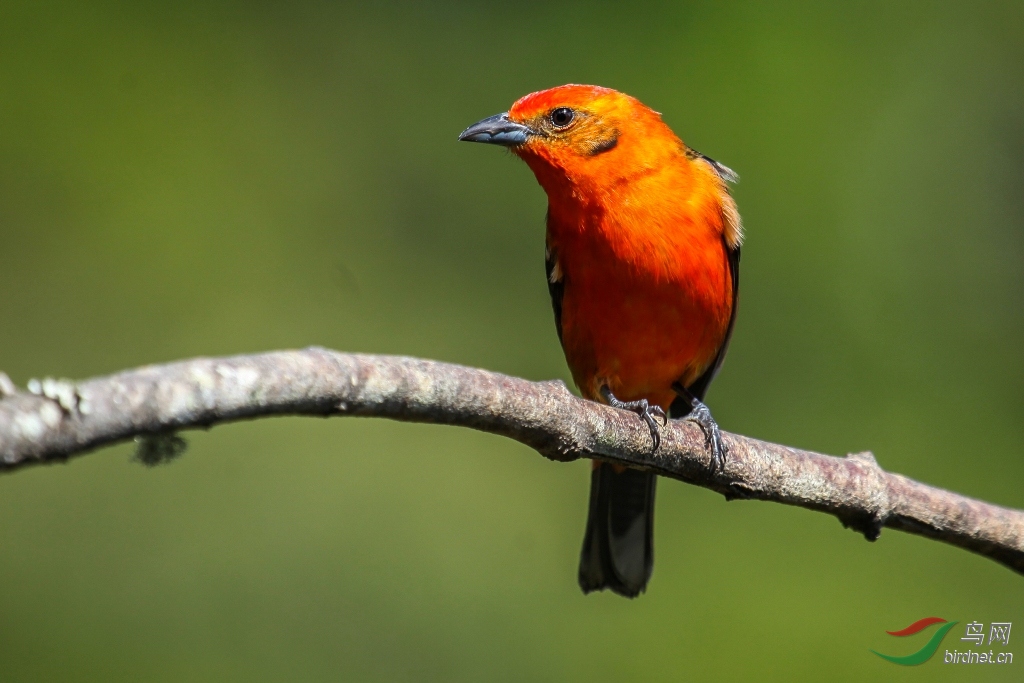 �����Ƽ���ȸ