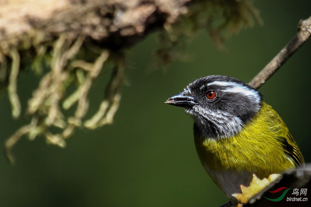 �ڶ��������ȸ