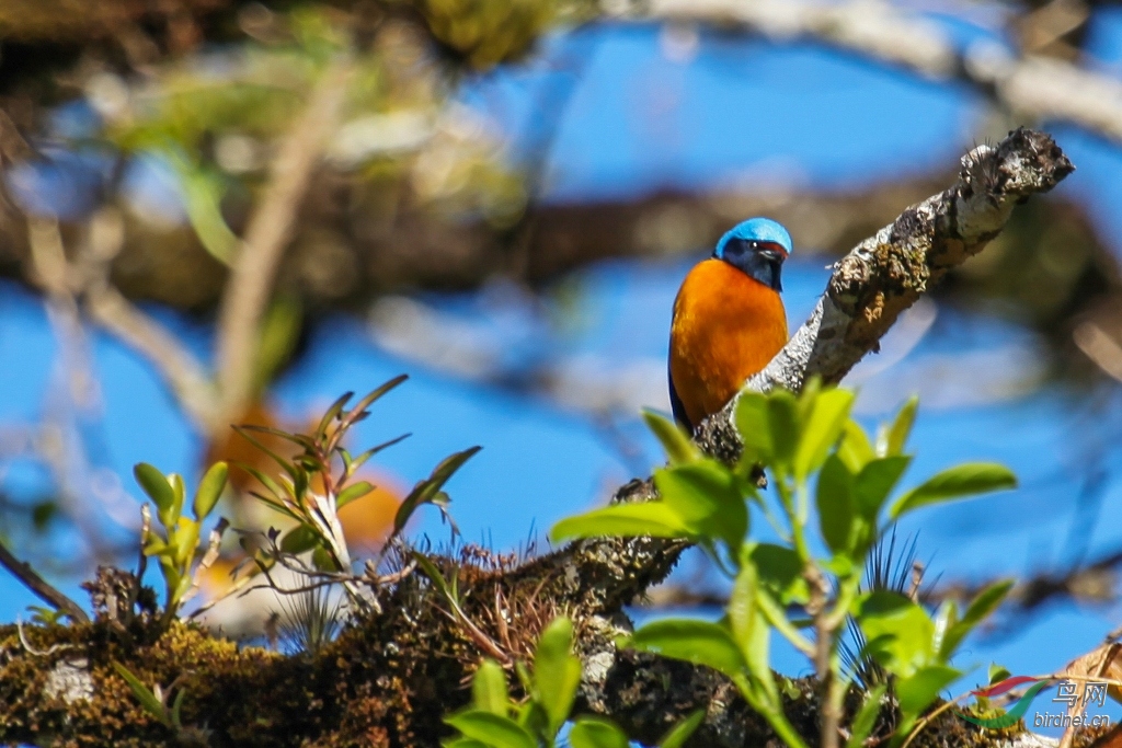 ������ȸ