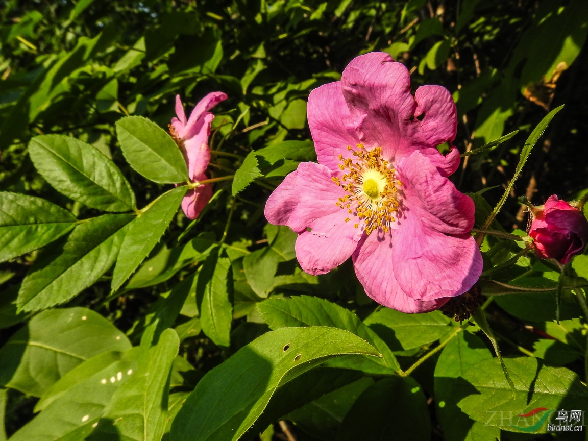 DSCN0022.jpg