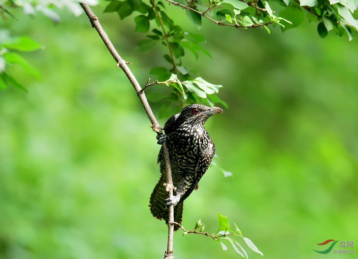 DSC_5894.JPG