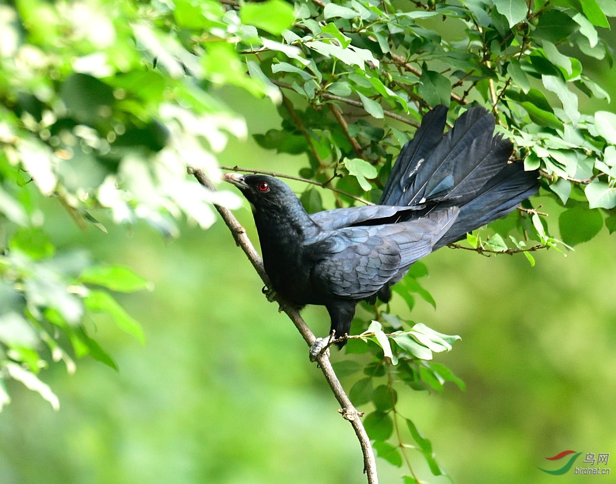 DSC_5520.JPG