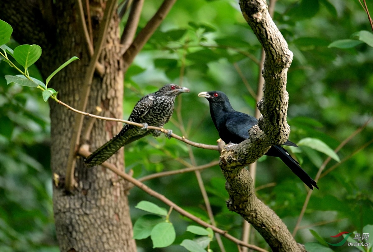 DSC_6015.JPG
