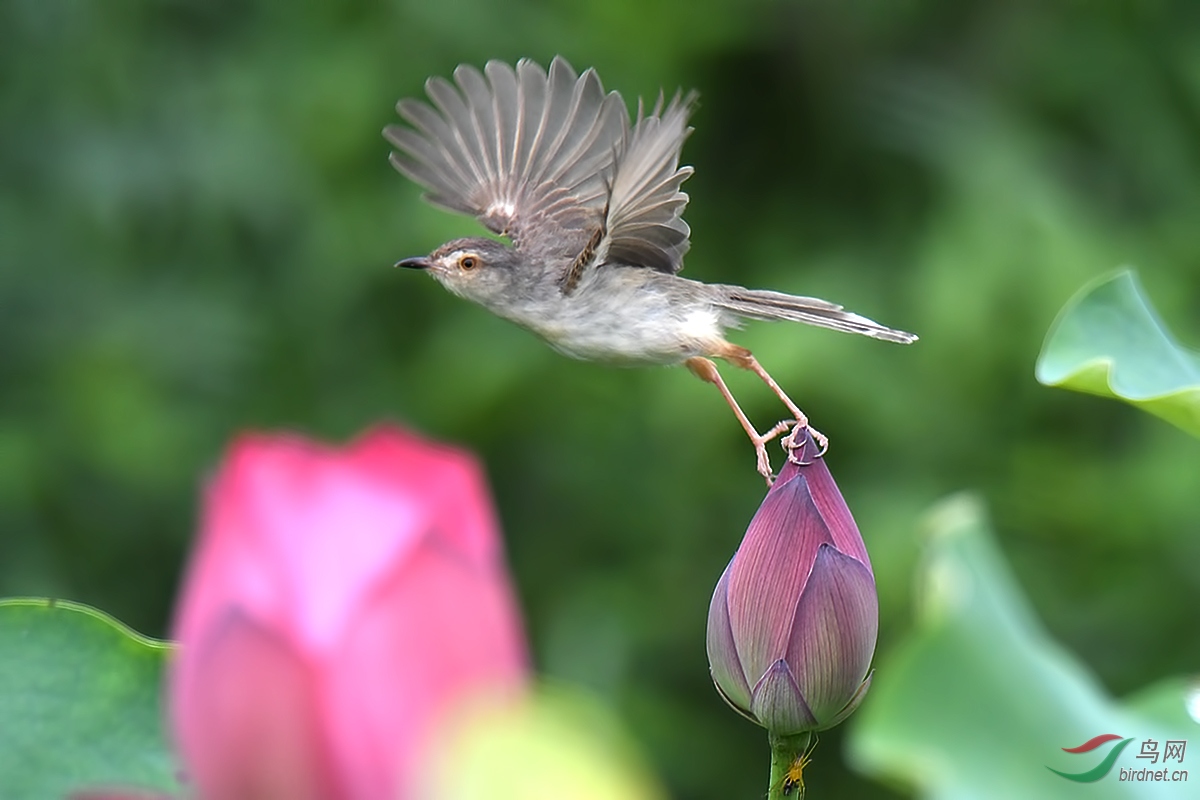 DSC_6250.JPG