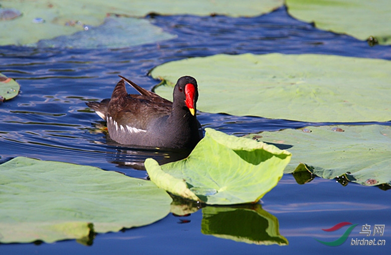 �� 149_����.jpg