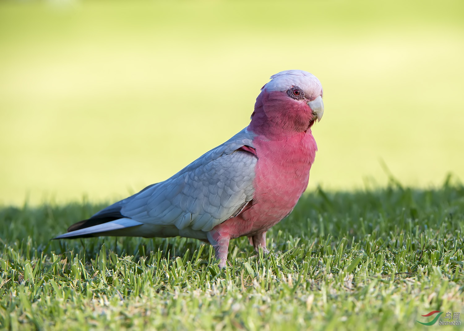 DSC_0562.jpg