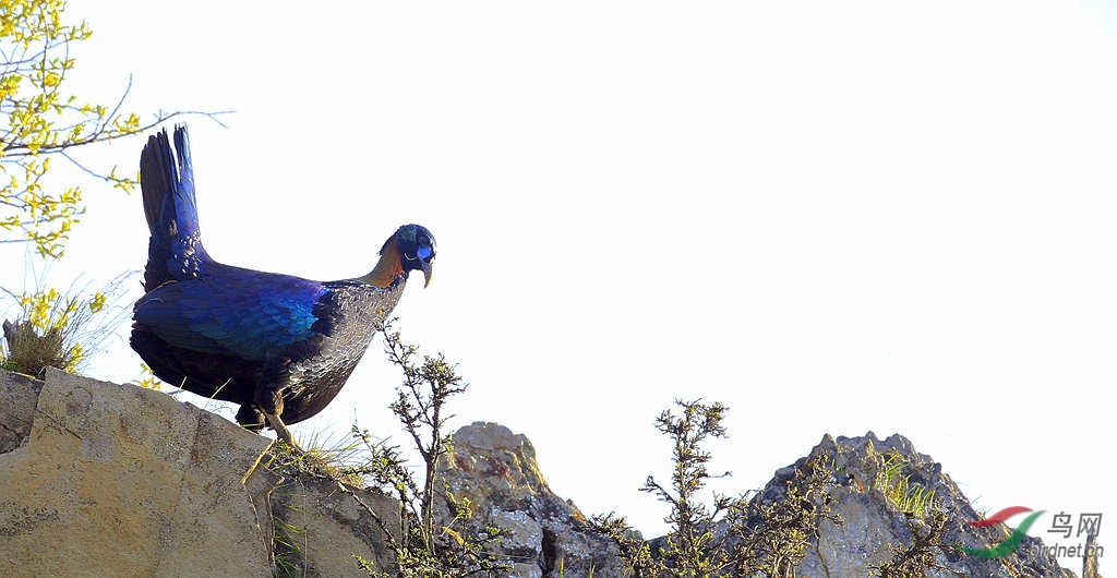 _U9G1784.jpg