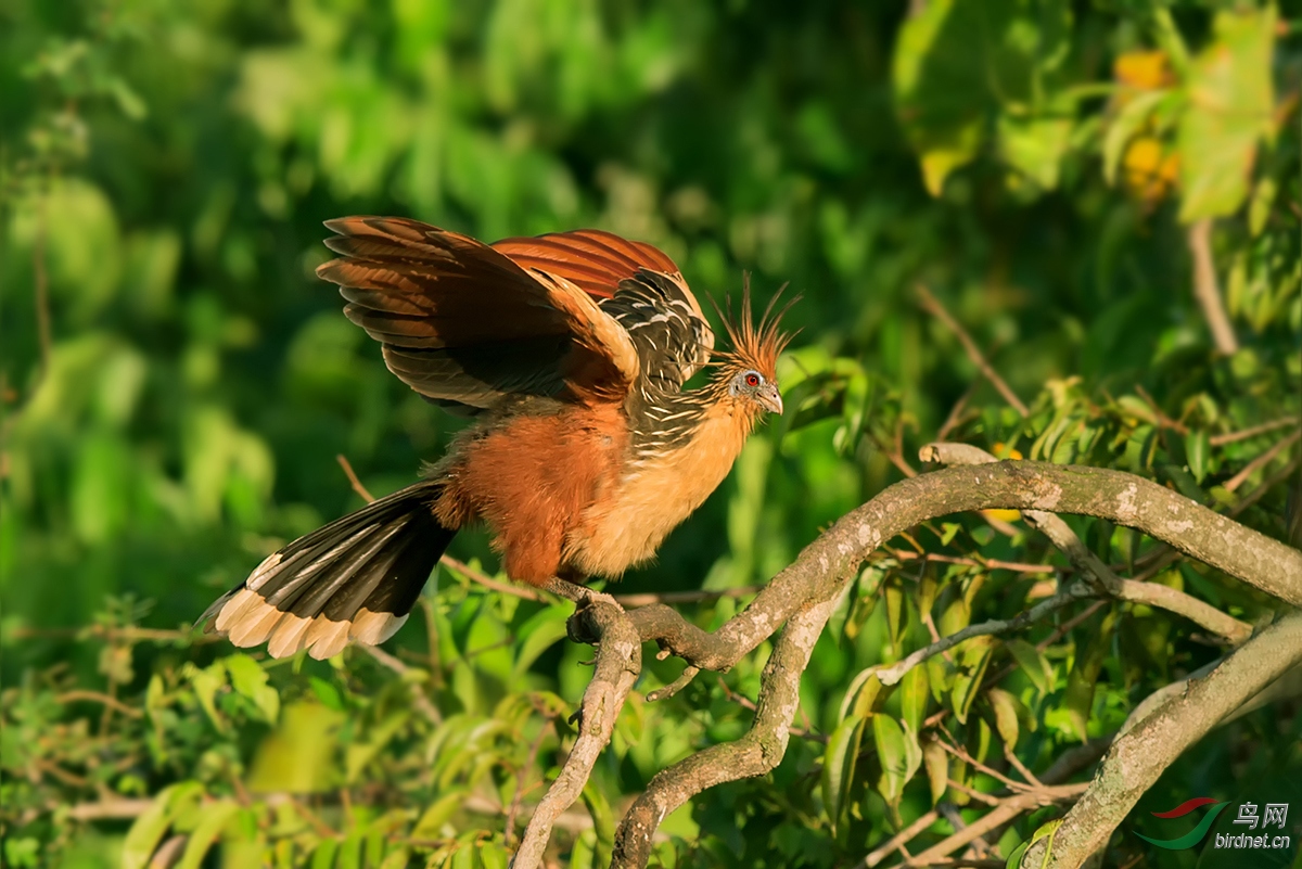 祝贺兰亭序老师荣任山西版主