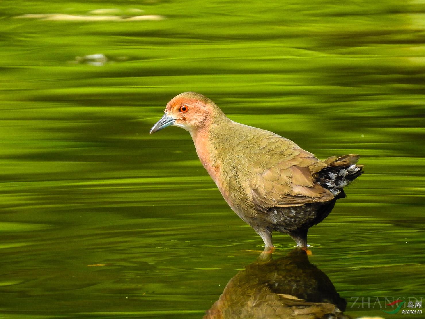 DSCN0217-2.jpg