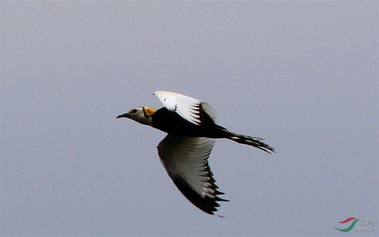 IMG_8430.JPG