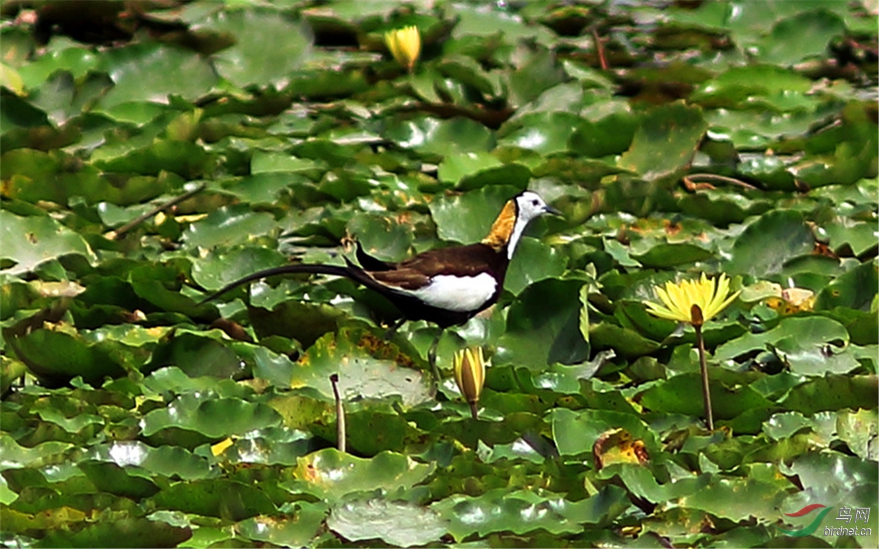 IMG_8616.JPG