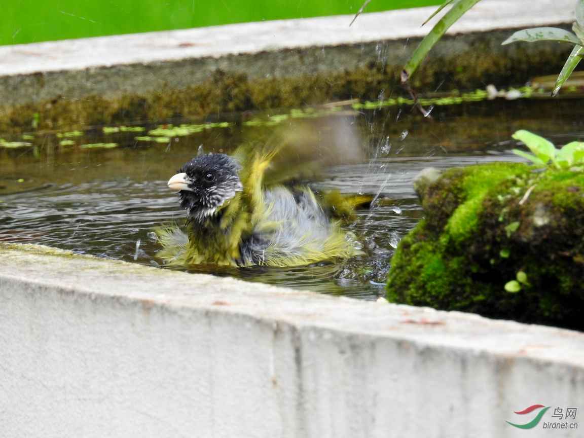 DSCN5628.JPG