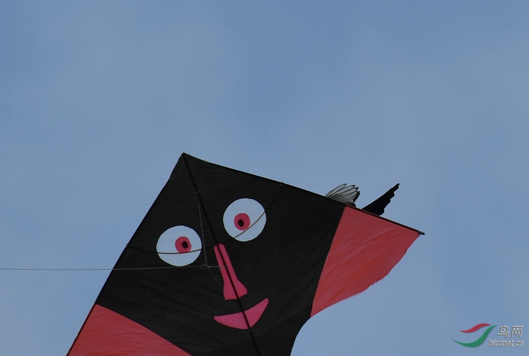 喜鹊戏风筝