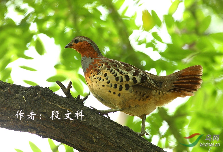 10 ������  ���Ŀ�.jpg