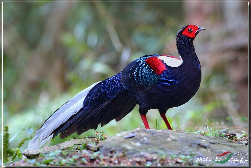 13  ����  joinus.jpg