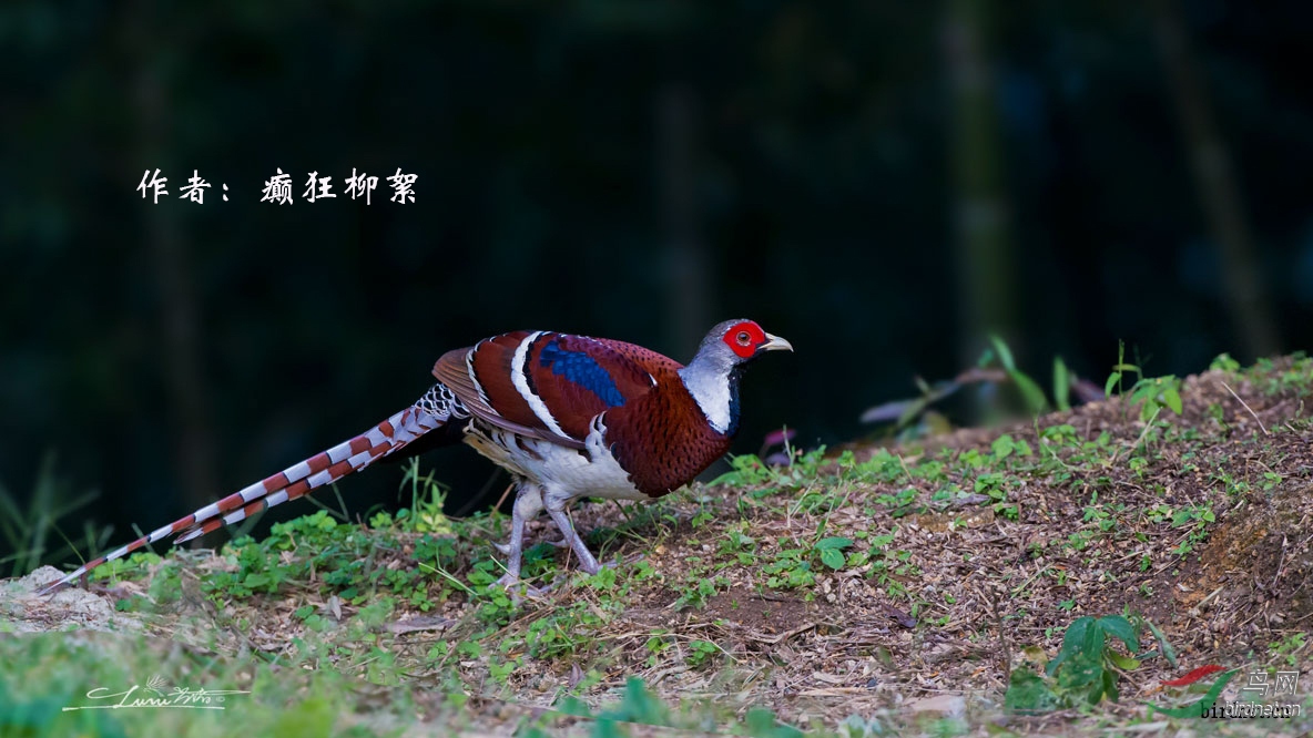 18 �׾���β��   ������.jpg